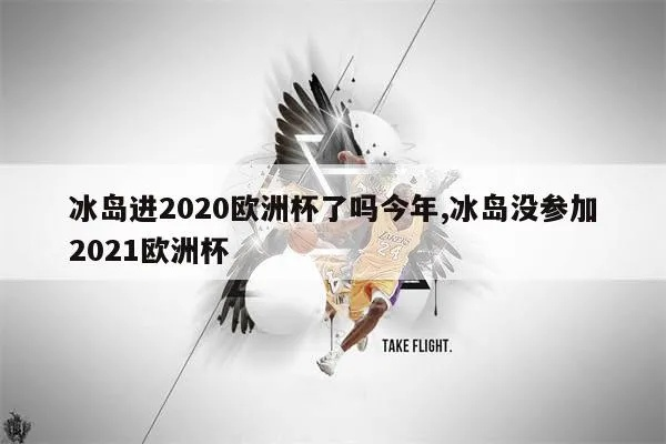 冰岛欧洲杯奇迹 冰岛欧洲杯2021-第2张图片-www.211178.com_果博福布斯